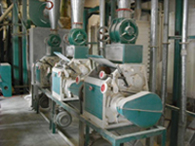 15t-wheat-flour-mill