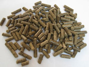 bagasse pellets