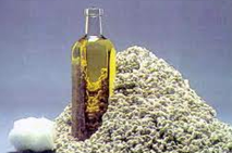 cotton-seed-oil-1