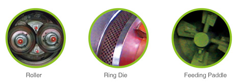 details-of-ring-die-pellet-machine