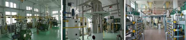 edible-oil-refining-plant