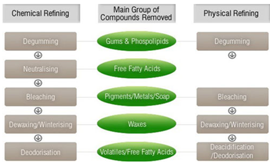 edible-oil-refining