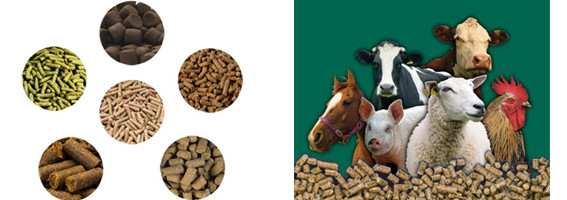 feed mill pellets