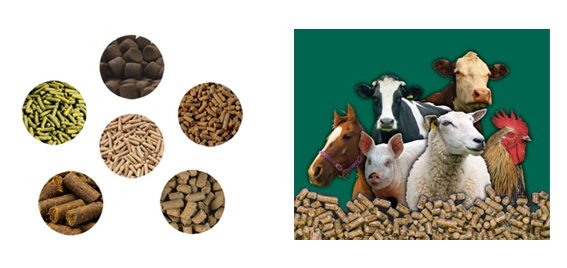 feed mill pellets