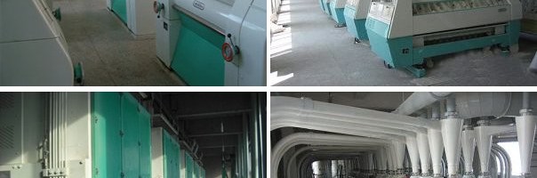 flour mill machines in multi storey plant