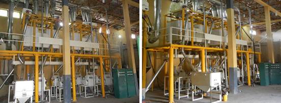 40TPD Wheat Flour Milling Plant Under Construction