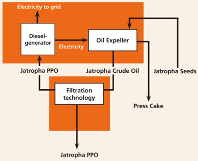 jatropha-oil-processing-chart
