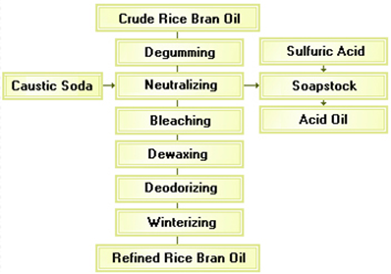 rice-bran-oil-processing-1