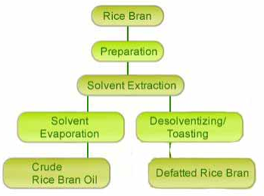 rice-bran-processing-chart