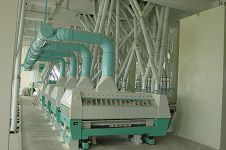 siftering system of flour mill equipment