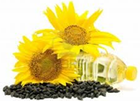 sunflower-oil-2