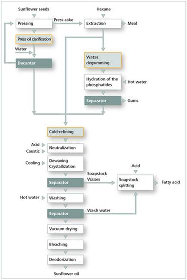 sunflower-oil-processing