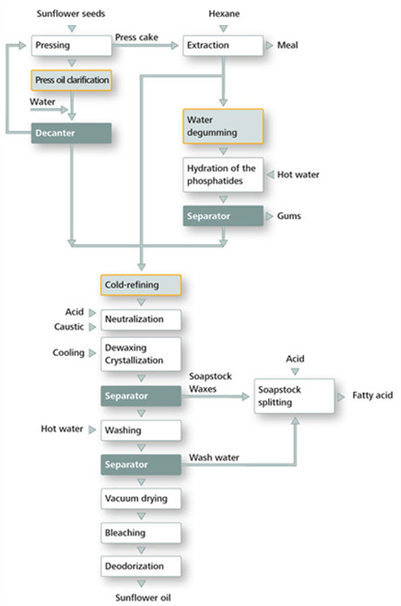 sunflower-oil-processing