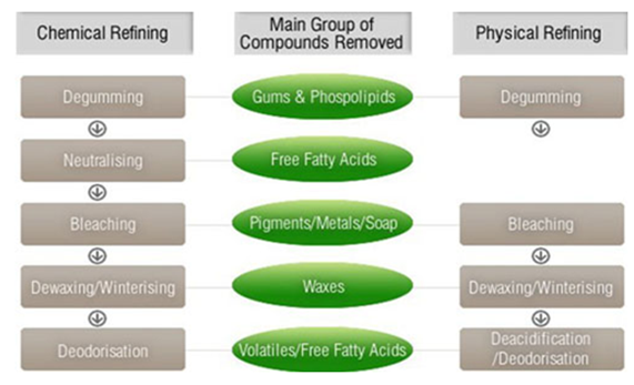 vegetable-oil-processing